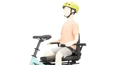 TERN Sidekick Seat Belt