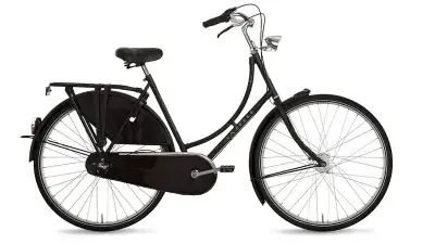 Gazelle Classic RT
