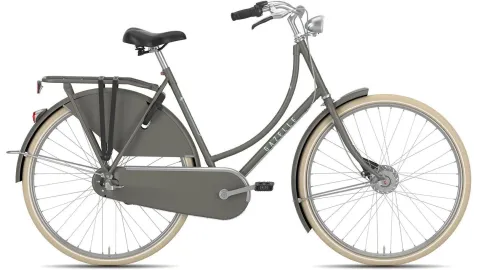 Gazelle Classic RT