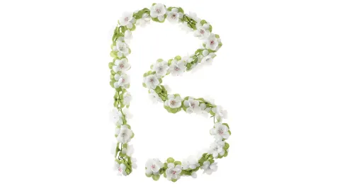 Basil Blumengirlande Flower Garland