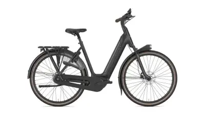 Gazelle Arroyo C8+ Elite WA 600Wh