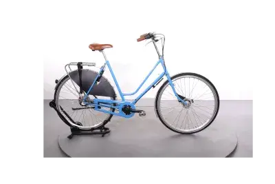 Roetz Road Limited Edition | Upway, Gebrauchtes Ebike
