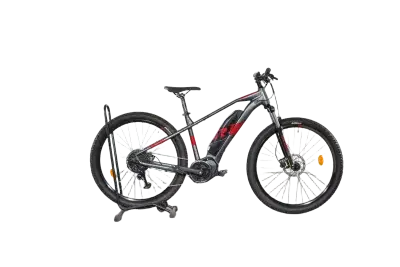 Raymon HardRay E 3.0 | Upway, Gebrauchtes Ebike