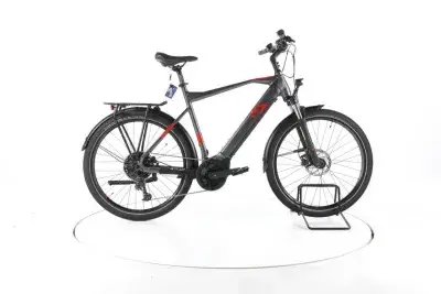 R Raymon TourRay E 6.0 Trekking E-Bike