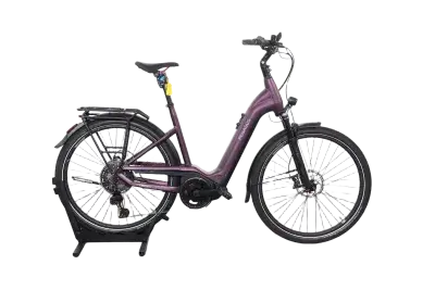 Pegasus premio evo 11 | Upway, Gebrauchtes Ebike