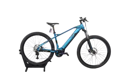 Raymon HardRay E 5.0 | Upway, Gebrauchtes Ebike