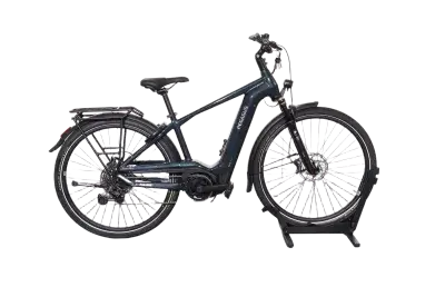 Pegasus Premio EVO 11 40 Years | Upway, Gebrauchtes Ebike