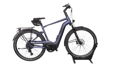 Pegasus Strong Evo 10 Lite | Upway, Gebrauchtes Ebike