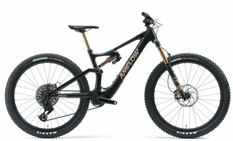 Amflow PL Carbon Pro - 29 Zoll 800Wh 12K Fully - Cosmos Schwarz