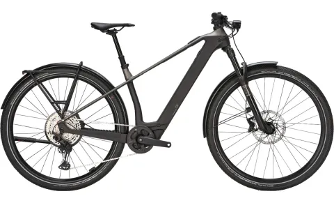 BULLS SONIC SX DAKAR - 29 Zoll 400Wh 12K Diamant - monza grey / UD carbon
