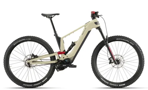 BULLS VUCA EVO AM 1 - 29 Zoll 800Wh Pinion MGU E1.12 Fully - pebble grey/ud carbon-matt
