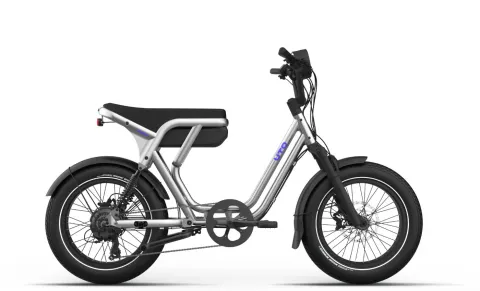UTO OG200 - 20 Zoll 720Wh 7K Lastenrad - Metallic Silber