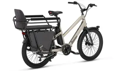 Benno Boost E 10D CX inkl. Family Package - 24 Zoll 545WH 10K Trapez - Titanium Gray