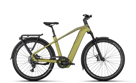 Kalkhoff ENTICE 5+ MOVE - 29 Zoll 800Wh 9K Diamant - meadowgreen matt/ darkmeadowgreen matt