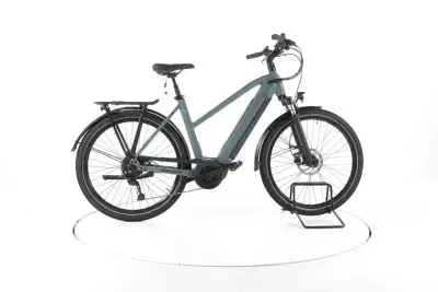 Winora Sinus 9 Trekking E-Bike