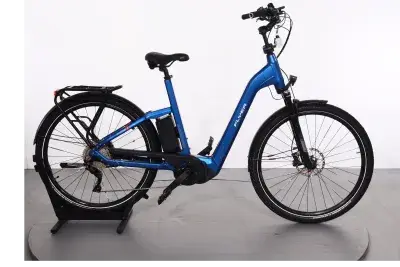 Flyer Gotour 5 | Upway, Gebrauchtes Ebike