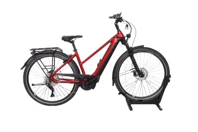 Pegasus Premio EVO 10 Lite | Upway, Gebrauchtes Ebike