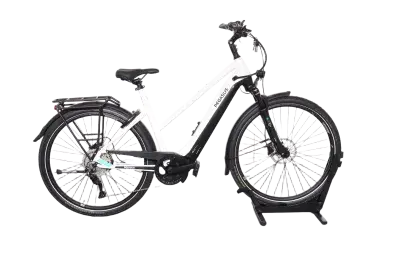 Pegasus Premio EVO 10 Lite | Upway, Gebrauchtes Ebike