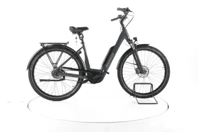 ADVANCED Tour Plus City E-Bike Tiefeinsteiger 2024
