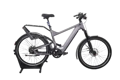 Riese & Müller Delite GT Vario | Upway, Gebrauchtes Ebike