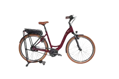 Riese & Müller Swing4 Vario | Upway, Gebrauchtes Ebike