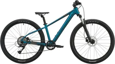 Scott Roxter 600 Grün Modell 2027