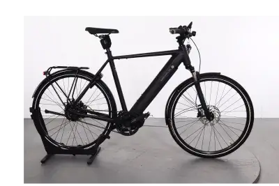 Riese & Müller Roadster vario | Upway, Gebrauchtes Ebike