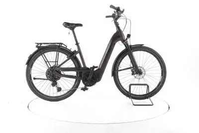 Pegasus Premio EVO Lite Trekking E-Bike Tiefeinsteiger