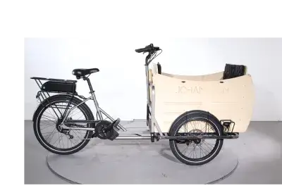 Johansson Fiete | Upway, Gebrauchtes Ebike
