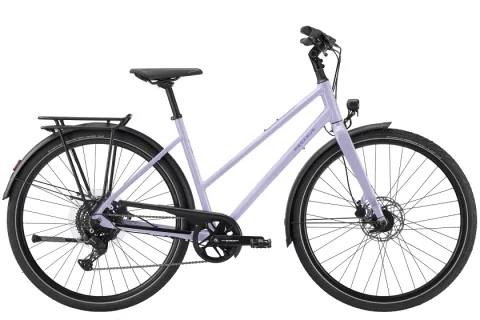 Pegasus Codo SL 8 Damen Trapez lila 2027
