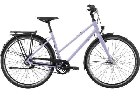 Pegasus Codo SL 7R Damen Trapez lila 2027