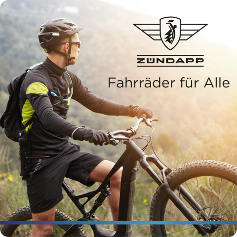 Zündapp Z802 E Bike Trekkingrad Damen ab 160 cm mit Nabenmotor Pedelec Trekking Fahrrad mit 21 Gang…