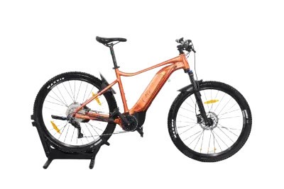 Liv Tempt E+ 1 | Upway, Gebrauchtes Ebike