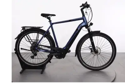 Pegasus Strong Evo 10 Lite | Upway, Gebrauchtes Ebike