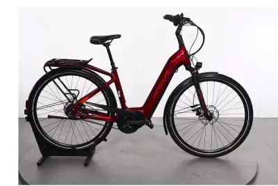Hercules Robert/a Pro R8 | Upway, Gebrauchtes Ebike