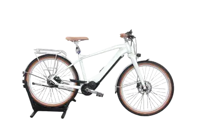 Bulls Sturmvogel EVO 5F Belt | Upway, Gebrauchtes Ebike
