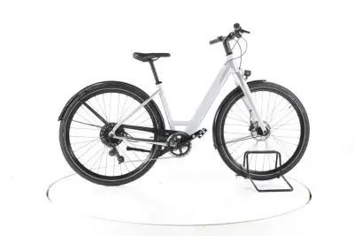 Coboc Kallio RGD Trekking E-Bike Tiefeinsteiger