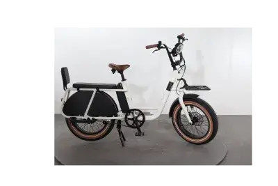 Brinckers Buddy | Upway, Gebrauchtes Ebike