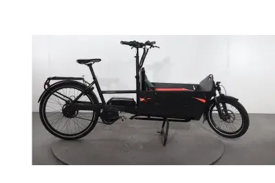 Riese & Müller Packster 60 | Upway, Gebrauchtes Ebike