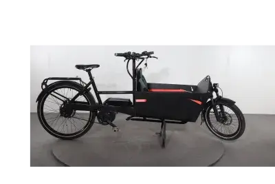 Riese & Müller Packster 60 | Upway, Gebrauchtes Ebike