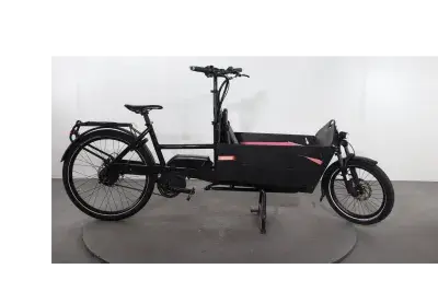 Riese & Müller Packster 60 | Upway, Gebrauchtes Ebike