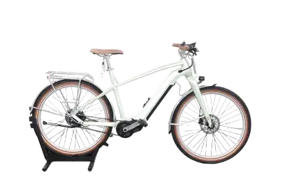 Bulls Sturmvogel EVO 5F Belt | Upway, Gebrauchtes Ebike