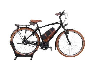 Riese & Müller Cruiser2 vario | Upway, Gebrauchtes Ebike