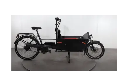 Riese & Müller Packster 60 | Upway, Gebrauchtes Ebike