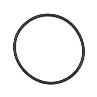 Bosch O-Ring (BDU2xx)