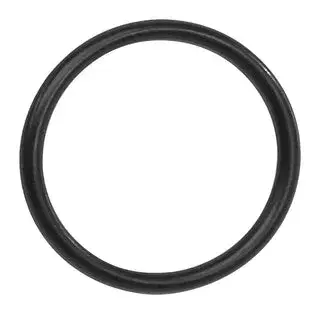Bosch O-Ring (BDU3xx)