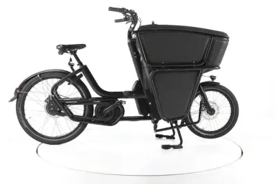 Urban Arrow Shorty E-Lastenrad