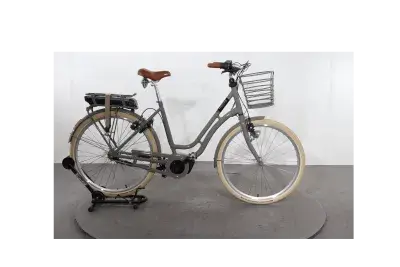 Frappe FBC 200 | Upway, Gebrauchtes Ebike