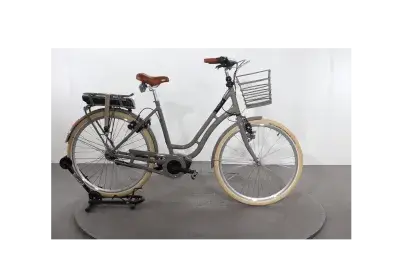 Frappe FBC 200 | Upway, Gebrauchtes Ebike