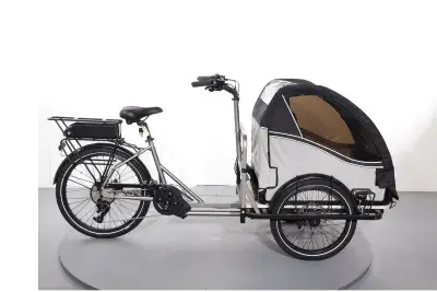 Johansson Fiete Kids Cabine | Upway, Gebrauchtes Ebike